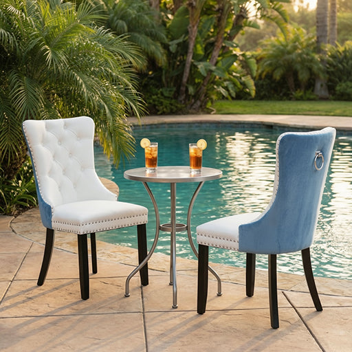 Modern Dining Chairs Set of 2, Smooth PU Front & Tufted Light Blue Velvet Back with Nailhead Trim